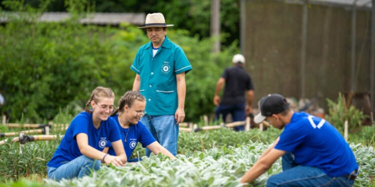 Foto: Lucas Fermin/SEED-PR