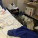 Homem mantém a própria mãe de 94 anos trancada em motel por 3 anos