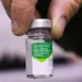 Paraná antecipa vacinação contra a gripe; campanha começa na terça-feira