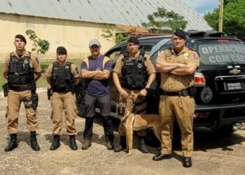 Canil do 2º Batalhão de Polícia Militar de Jacarezinho recebe novo cão