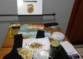 Polícia Civil prende homem por tráfico de drogas em Jundiaí do Sul