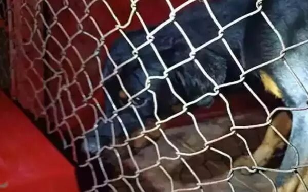 Amauri Ferreira, de 57 anos, foi brutalmente atacado, tendo a orelha esquerda arrancada e o rosto totalmente desfigurado. (Foto: Reprodução/CBMMG)