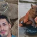 Justiça manda Ibama devolver capivara Filó a influencer até fim do processo