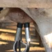 Mulher morre ao sofrer choque elétrico durante ordenha das vacas no Paraná