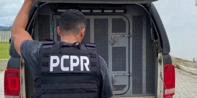 Também foram apreendidas uma porção de maconha e uma pistola carregada. (Foto: PCPR)