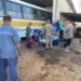 Paraná: Macaco escapa e trabalhador fica gravemente ferido após ficar preso embaixo de ônibus