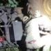 Trator tomba e mata idoso em zona rural no interior do Paraná