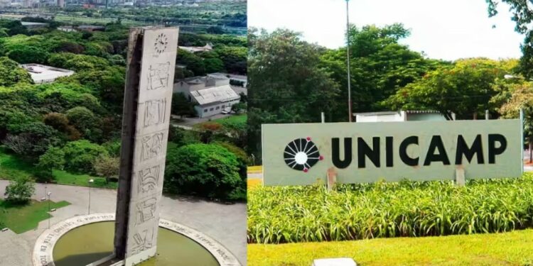 Abrindo o ranking das 59 faculdades brasileiras mais bem classificadas estão duas paulistas: USP e Unicamp. Foto: Reprodução/USP e Wikimedia Commons.