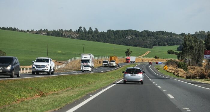 Foto: Geraldo Bubniak/AEN