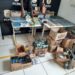 Polícia apreende arsenal em Arapoti