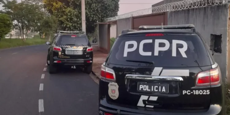 Foto: Polícia Civil