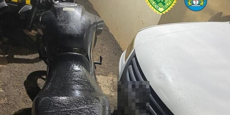 Foto: Divulgação/PMPR