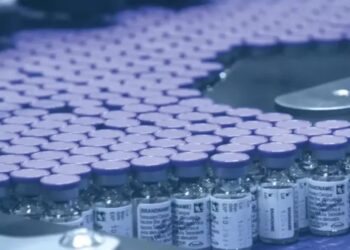 Nova vacina contra dengue chega ao Paraná e doses podem custar até R$ 600