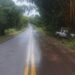 Norte Pioneiro: Saída de pista deixa motorista ferido na PR-218