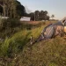 Paraná: Acidente entre dois carros deixa quatro mortos e duas crianças feridas na BR-277