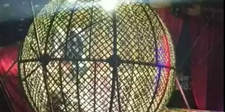 Reprodução Video
