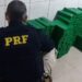 Após perseguição, jovens batem carro e são presos com 270 kg de maconha, no PR