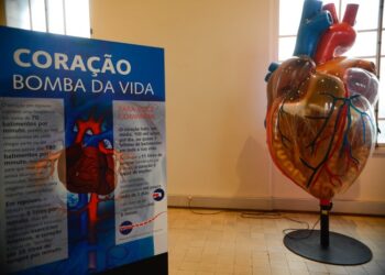 Internações por infarto aumentam mais de 150% no Brasil