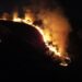 Incêndio ambiental consome 115 mil metros quadrados de vegetação no Morro do Bim