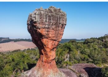 Parque Vila Velha celebra Dia dos Pais com atrações para a família toda