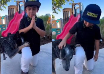 Menino e cão orando por pessoas com câncer comovem as redes; Assista