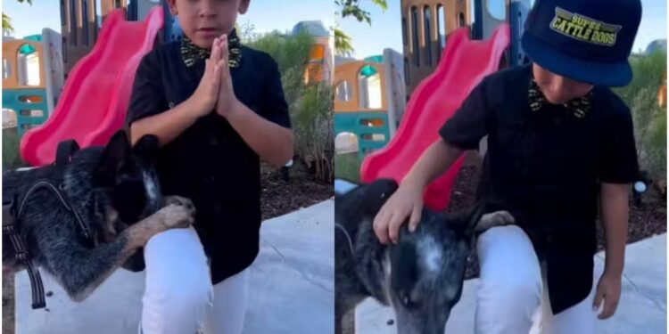 O menino e o cão emocionaram a internet orando para Deus abençoar pessoas com câncer no vídeo viral. - Foto: Reprodução/@supper_cattledogs