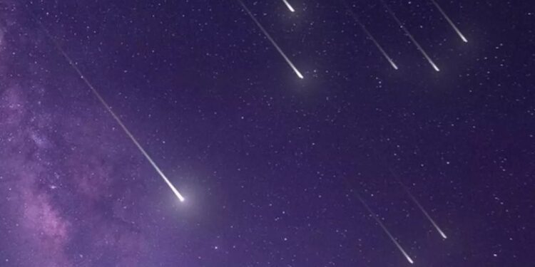 Foto: Ilustração/ Freepik)