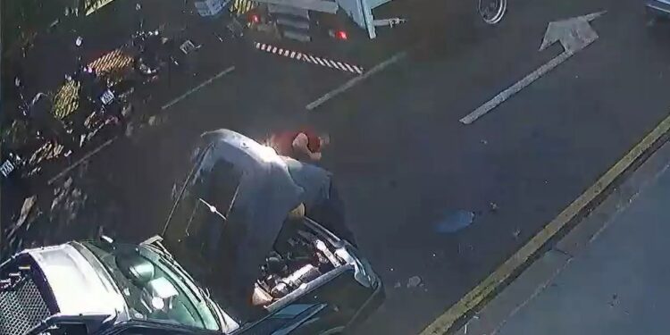 Imagens: reprodução