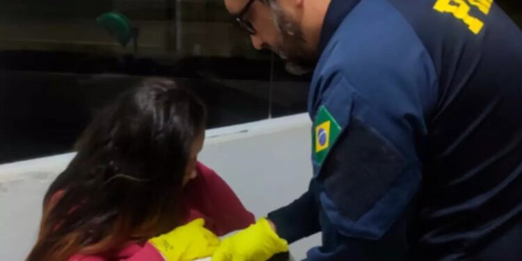 Após o parto, mãe e bebê foram levados para hospital (Foto: PRF)