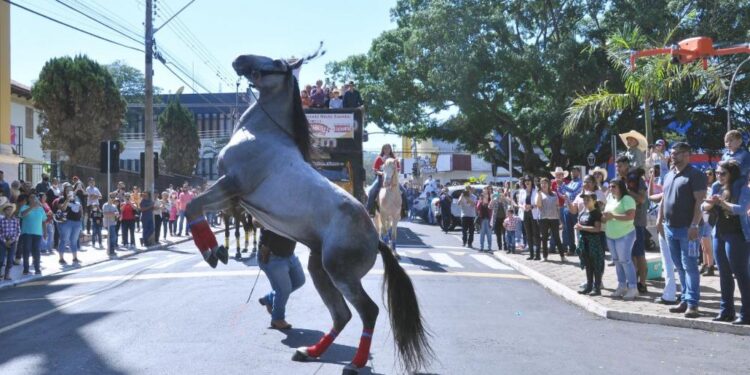 Foto: Emerson Chagas - Fotógrafo ofical da Saciedade Rural do Norte Pioneiro/Arquivo