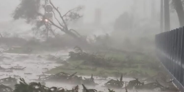forte chuva atingiu Guarapuava e derrubou árvores no município (Foto: Corpo de Bombeiros)