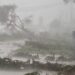 Temporal com ventos de 90 km/h causa estragos no Paraná