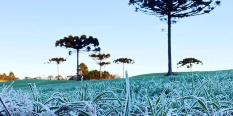 Mínima chegou a 1,7ºC entre a madrugada e a manhã (Foto: Ana Tigrinho/AEN)