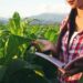 UENP divulga edital de bolsa de pós-doutorado em Agronomia