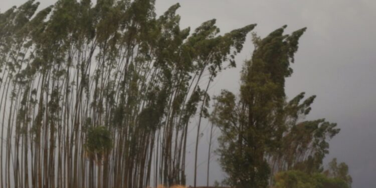 Há risco de chuvas fortes e ventos de até 100km/h (Foto: Gilson Abreu/AEN)