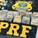 Polícia apreende 43 mil dólares em dinheiro vivo, entrando ilegalmente no Paraná
