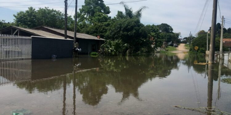 cidades estão em situação de emergência no Paraná (Foto: Prefeitura de Rio Negro)
