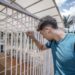 Prazo para solicitar reaplicação do Enem 2023 começa nesta segunda