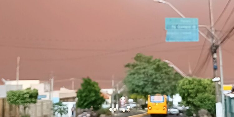 Portaltanacidade