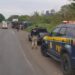 Jacarezinho: Caminhão com porcos tomba na BR-153 e motorista fica ferido “Assista o vídeo”