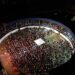 Marcha Para Jesus atrai milhares de pessoas em Jacarezinho “Confira as fotos”