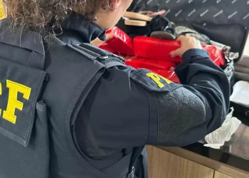 Paraná: Adolescente de 15 anos mente idade e é apreendida por tráfico de drogas