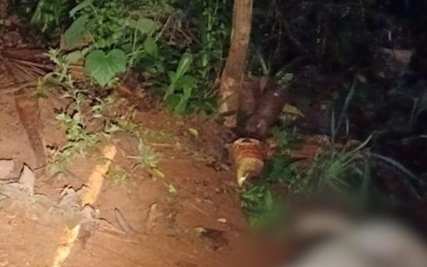 A tutora dos cães registrou boletim de ocorrência. (Foto: Polícia Militar)