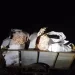 Paraná: Camarão e picanha alimentos eram transportados em carretinha de recicláveis