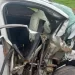 Paraná: Motorista dorme no volante e bate contra poste
