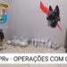 Norte Pioneiro: PRE apreende 23 kg de drogas em ônibus na PR-855