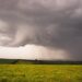 Tempestade e ventos fortes: chuva predomina em todo Paraná nesta terça (28)