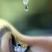 Campanha alerta para riscos do glaucoma e importância da prevenção