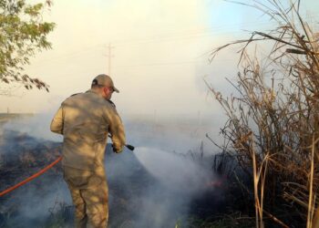 Lei amplia atuação do Corpo de Bombeiros em todo o Paraná