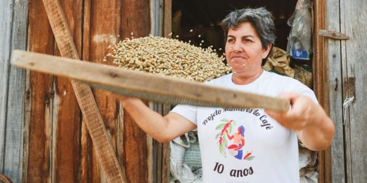 Mulheres do Café reúne mais de 250 mulheres espalhadas em 14 municípios do Norte Pioneiro. Fotos: Gabriel Rosa/AEN